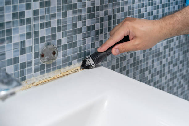 Best Local Mold Removal Service  in Island Park, NY